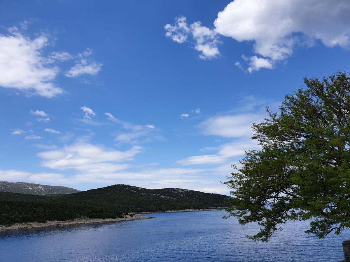 Apartament Stella Apsyrtides Osor